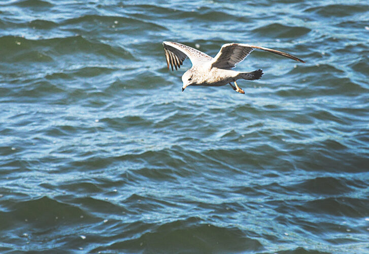 Flying high